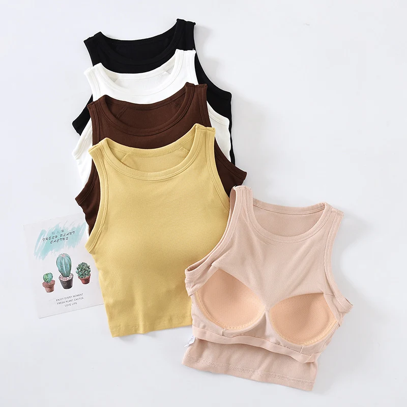 Everyday Basics