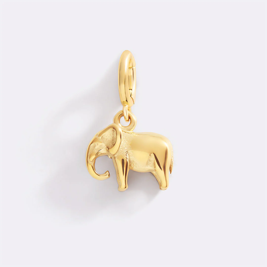 Good Luck Elephant Charm
