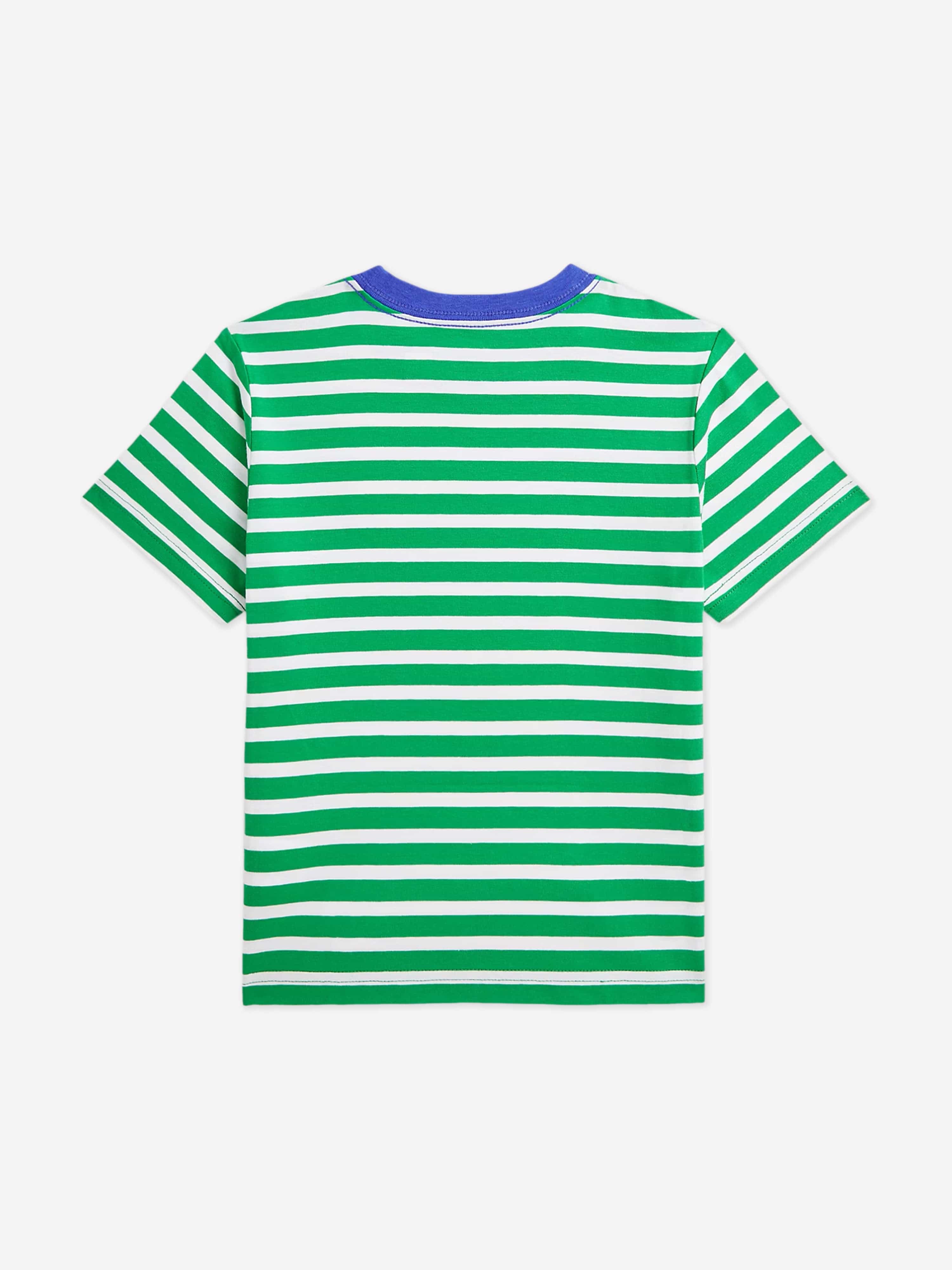 Boys Striped Logo T-Shirt in Green