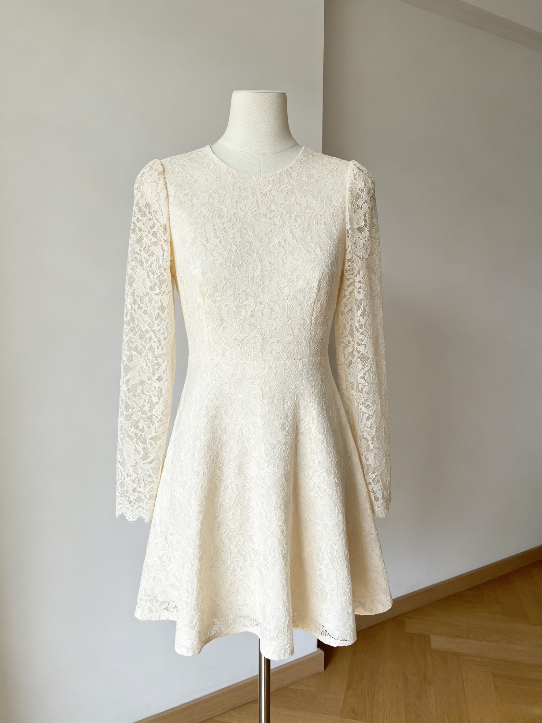 Lace Sleeve A-Line Mini Dress