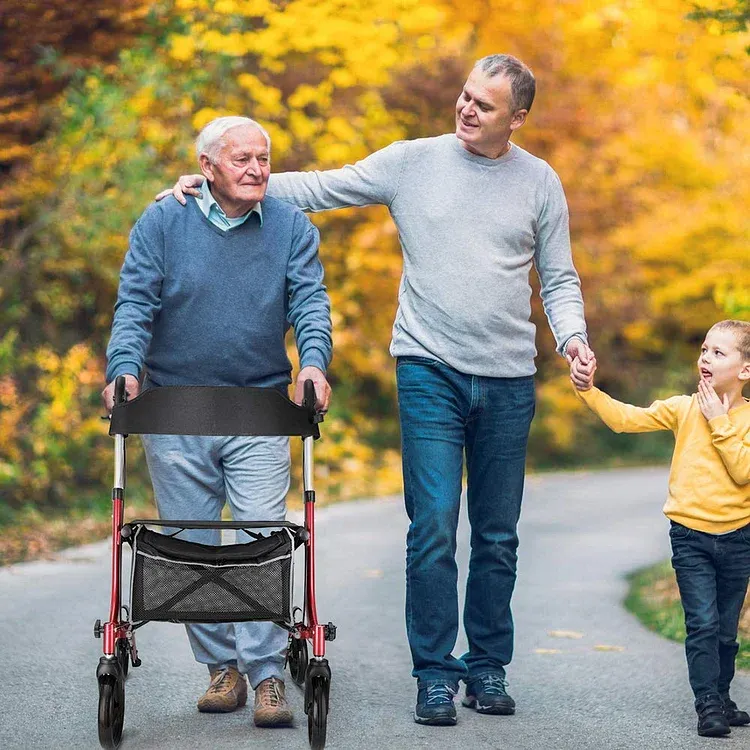 💥 💝QVC Last day for clearance 💥 --Medical Foldable Lightweight Rollator