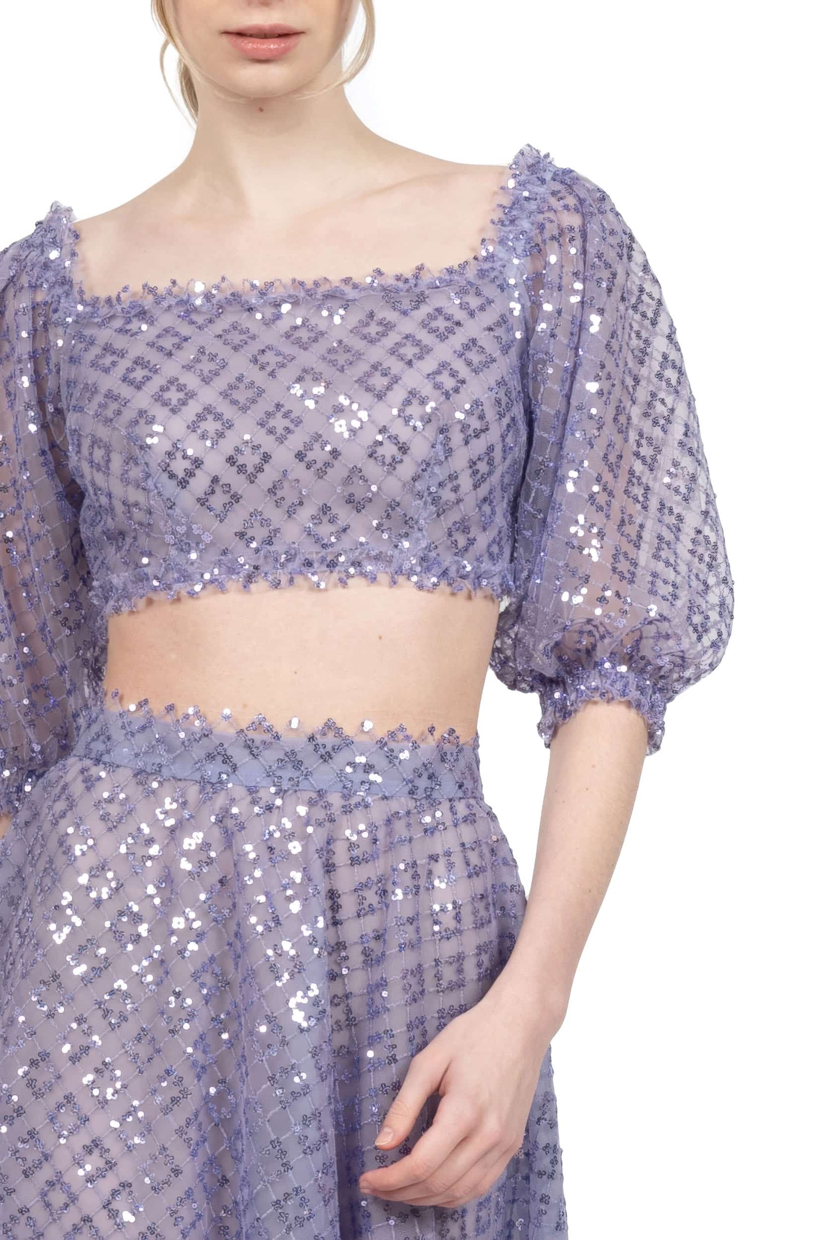 Embroidered tulle skirt with sequins