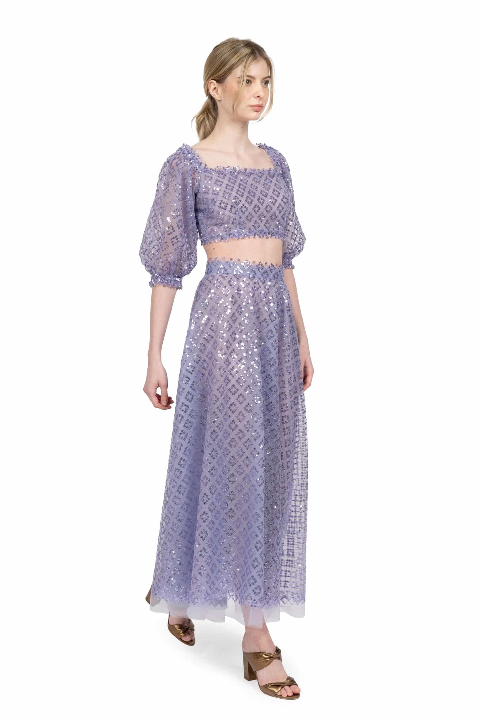 Embroidered tulle skirt with sequins